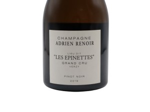 Adrien Renoir Les Epinettes