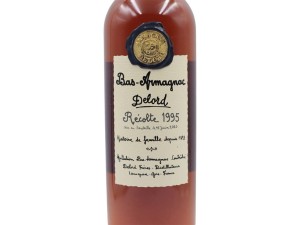 Bas Armagnac Delord annata 1995