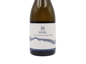 Pujol Die Imaginären Flügel