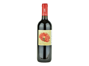 M. Valpiani \\"Marta Valpiani\\"