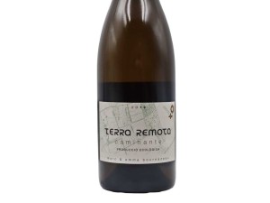 Terra Remota Caminante