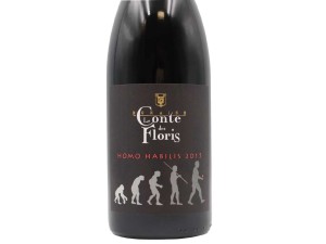 Le Conte des Floris Villafranchien