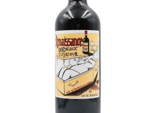 Château Renaissance