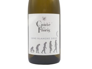 Das Märchen der Floris Weißer Mond