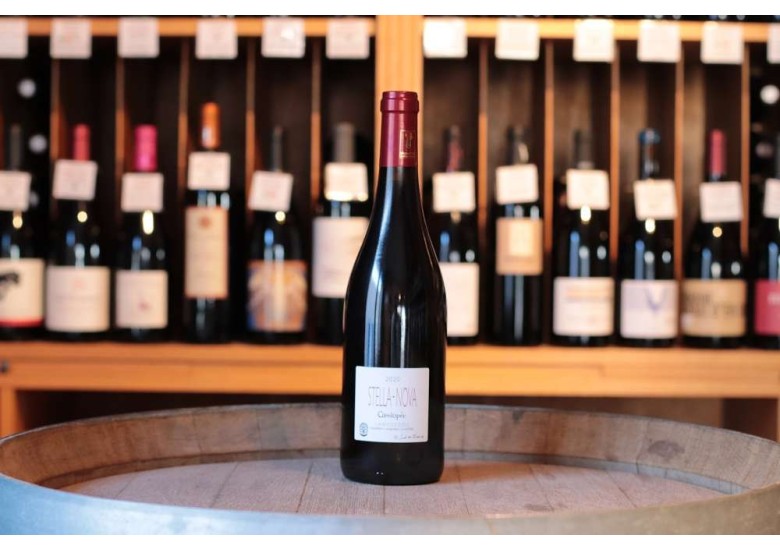 Domaine Stella Nova Cassiopeia