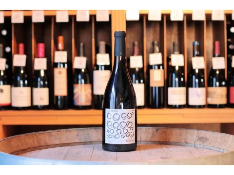 Villa Tempora Languedoc Pézenas