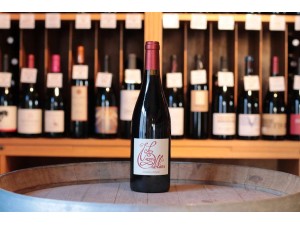 Les Vignes Oubliées Languedoc