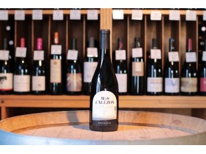 Mas d'Alezon Montfalette