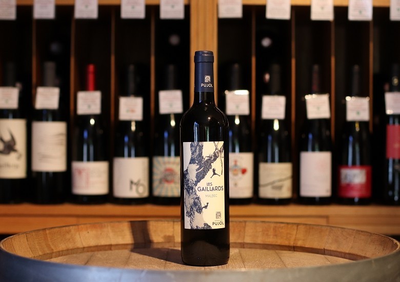 Pujol Les Gaillards Malbec