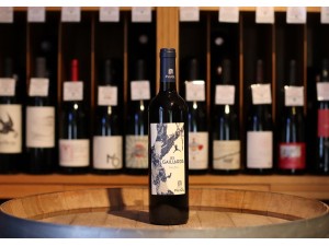 Pujol Les Gaillards Malbec