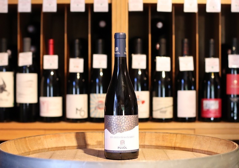 Pujol Le ali immaginarie