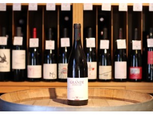 Serre Romani La gran aventura de la garnacha en la costa catalana