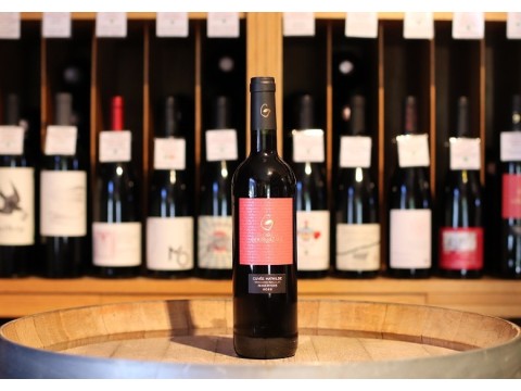 Château de Gourgazaud Mathilde