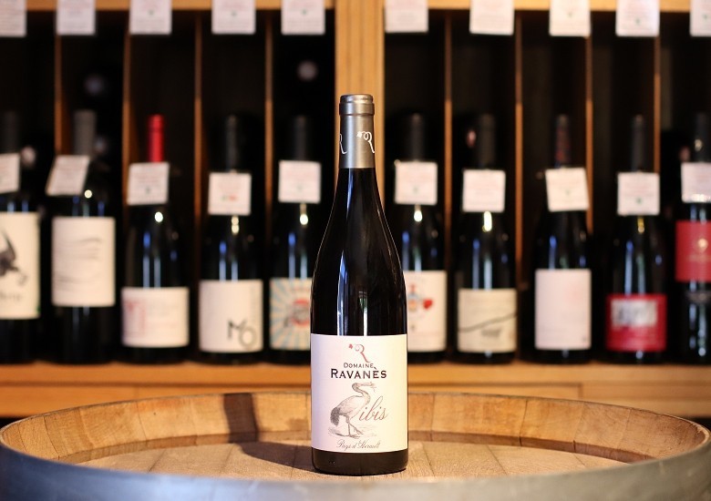 Ravanès Der rote Ibis Coteaux de Murviel Pays d'Hérault