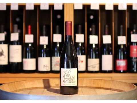 Les Vignes Oubliées Terrasses du Larzac