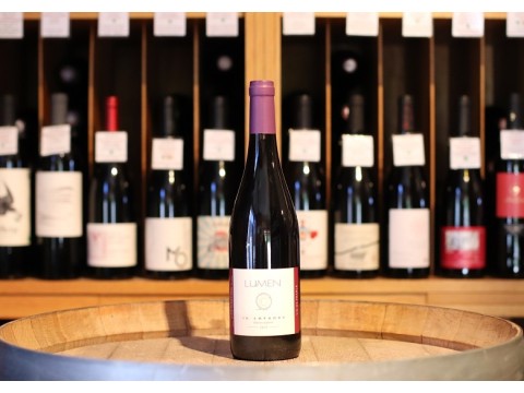 Mas Lumen In Amphora