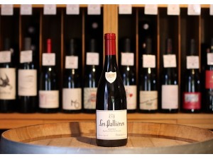 Domaine Les Pallières Racines
