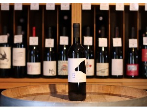 Domaine San Filippo Rosso Piceno