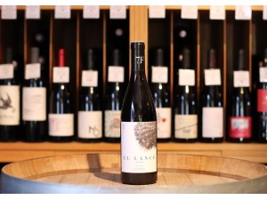 Domaine Suertes del Marqués El Lance