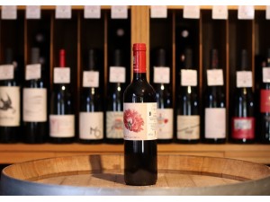 Domaine Marta Valpiani