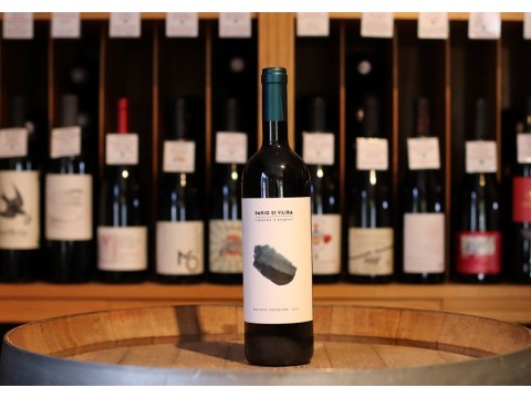 Domaine Dario di Vaira Bolgheri superiore