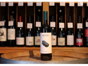 Domaine Dario di Vaira Bolgheri superiore