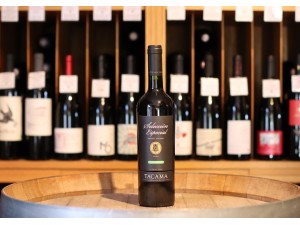 Domaine Tacama Selección Especial Petit Verdot