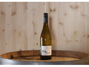 Domaine de Castelnau Sauvignon blanc Le Bosquet