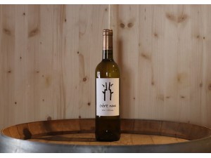 Domaine de Valensac, Cuvée Entre Nous Selon Valensac Albarino Blanc.