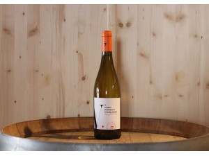 Château de Gourgazaud Le Viognier Historique