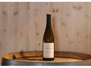 Château de Plaisance Ronceray