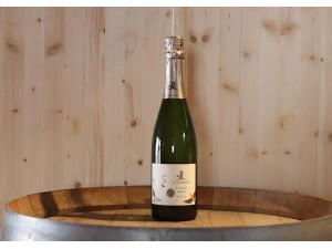 Domaine J. Laurens L'Auriol Brut Nature
