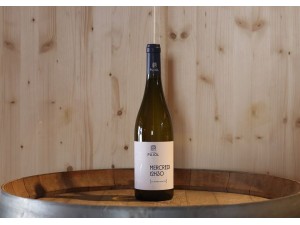 Domaine Pujol Mercredi 12h30