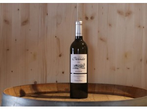 Domaine Chiroulet Miocène