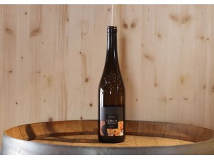 Domaine Clos Culombu Storia di Brustianu