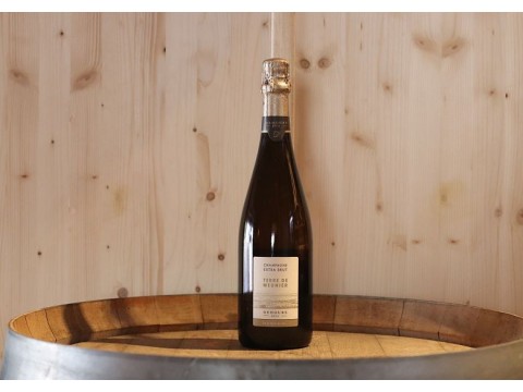Champagne Dehours & Fils Terre de Meunier Extra Brut