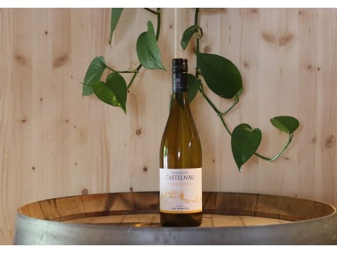 Domaine de Castelnau Chardonnay Les Ronces