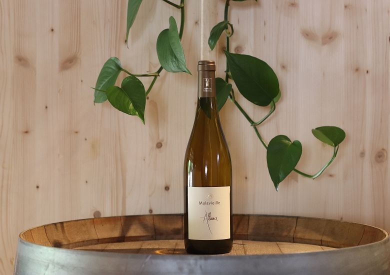 Domaine de Malavieille Alliance blanc
