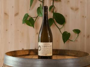 Château de Gourgazaud La Vigne de ma Mère