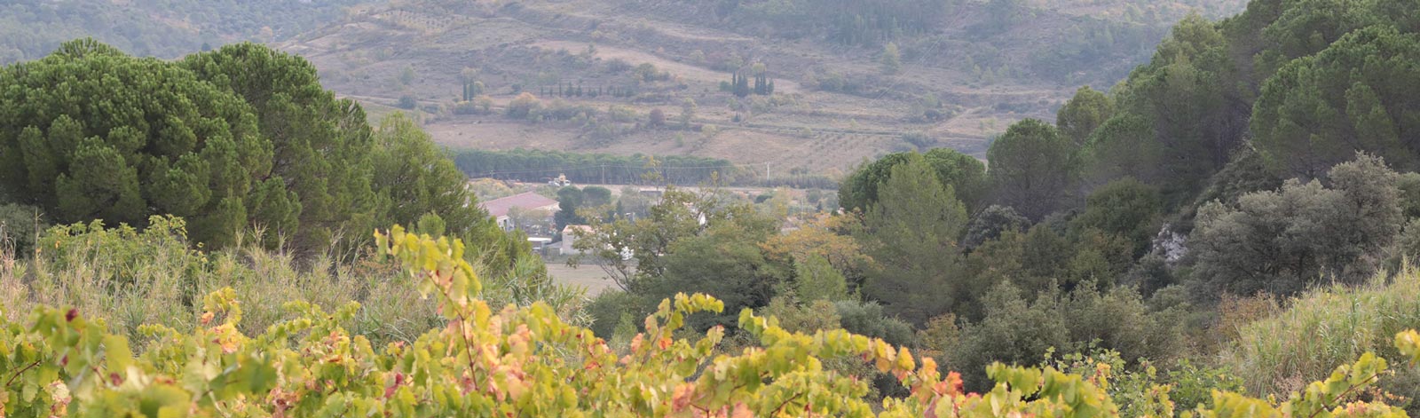 Domaine Borie de Maurel, dégustation et cuvées