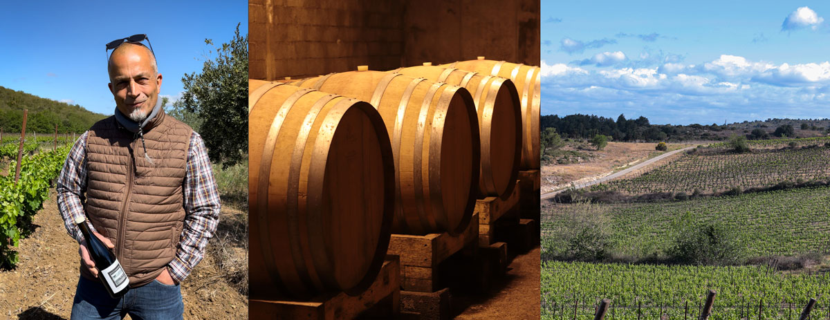 Sébastien MARTIN, Présentation des cuvées du château Figuères