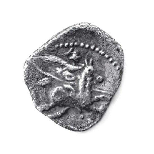 Cave Les Grands Vignes - Nicolas Badel