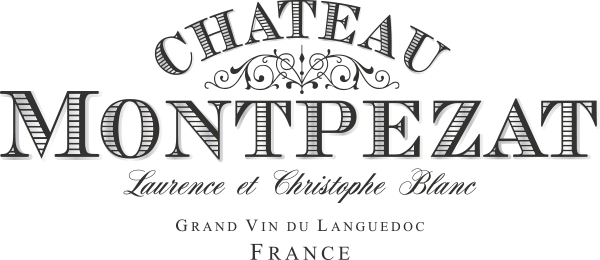 Château de Montpezat