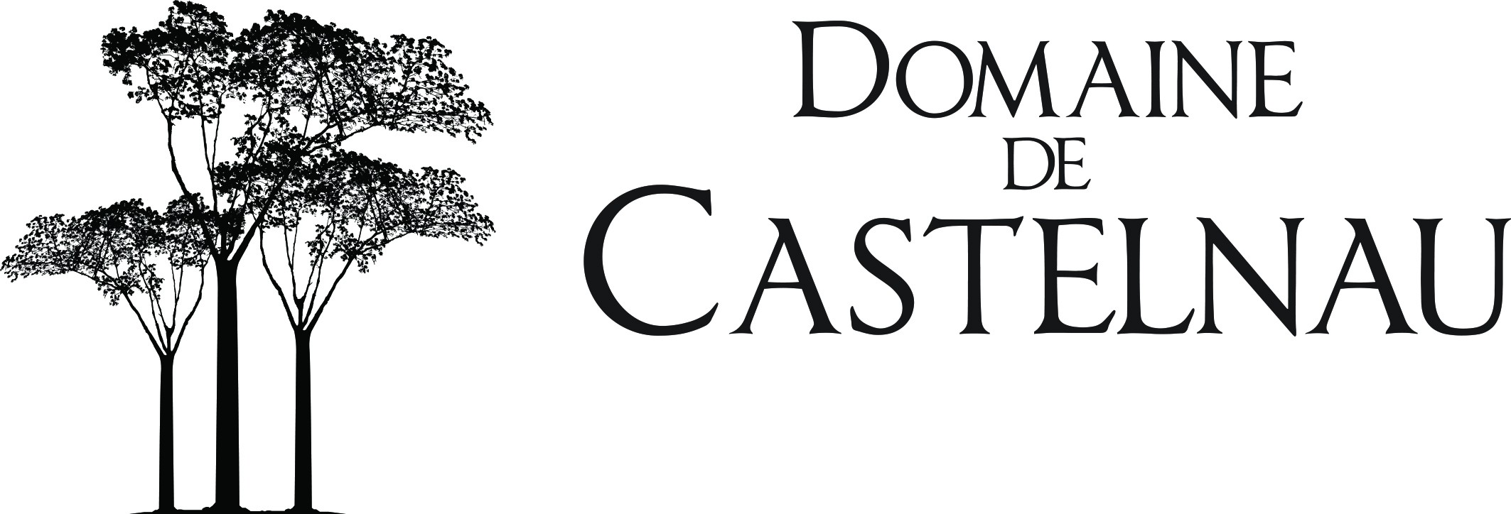 Domaine de Castelnau