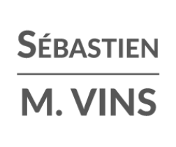Sebastien M.Vins