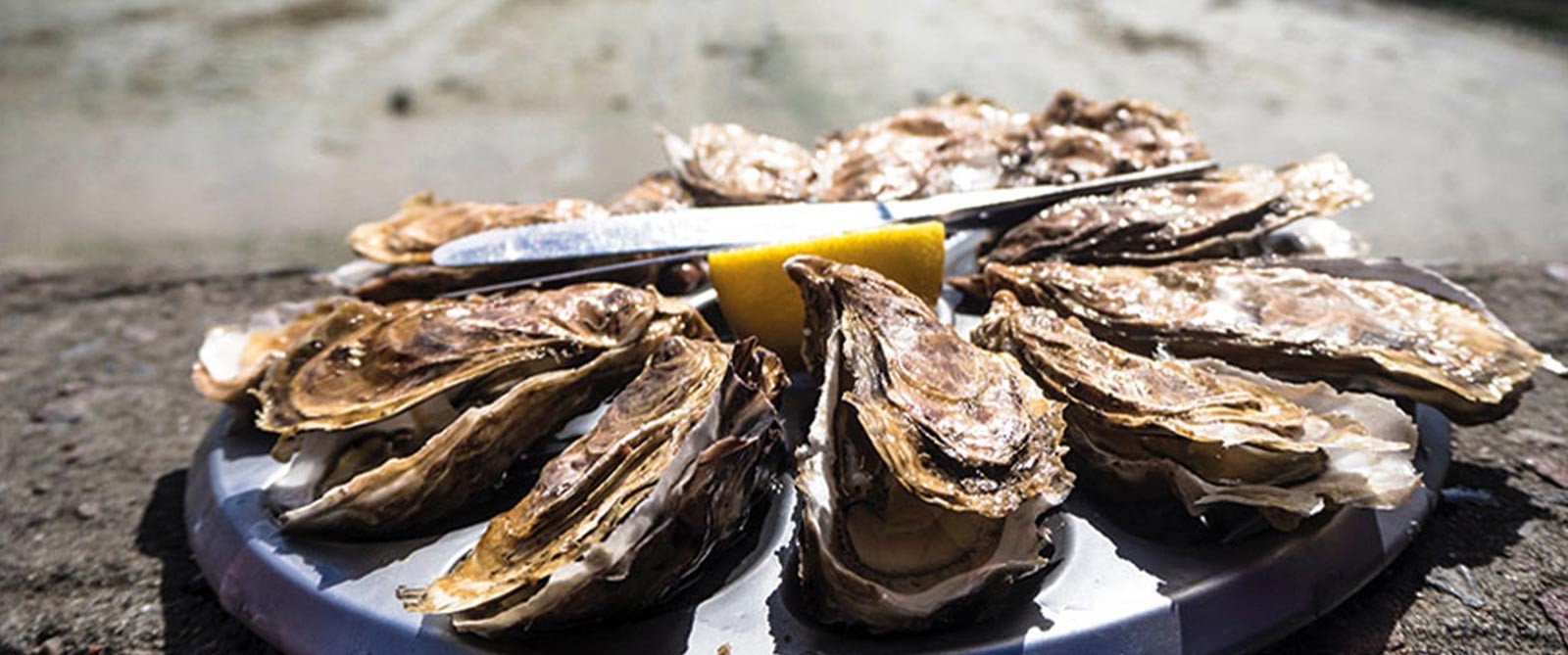  Le Nez dans le Verre