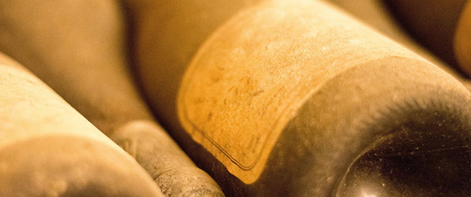  Le Nez dans le Verre