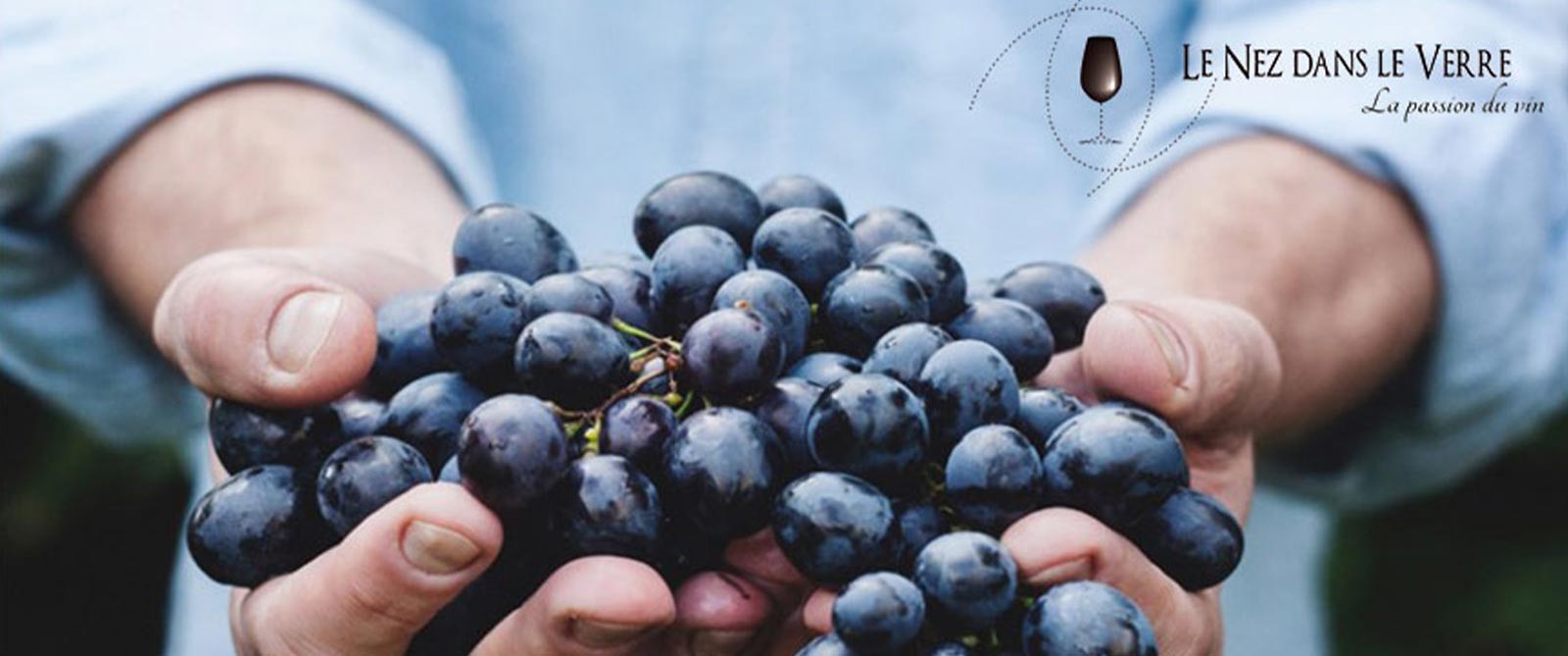  Le Nez dans le Verre