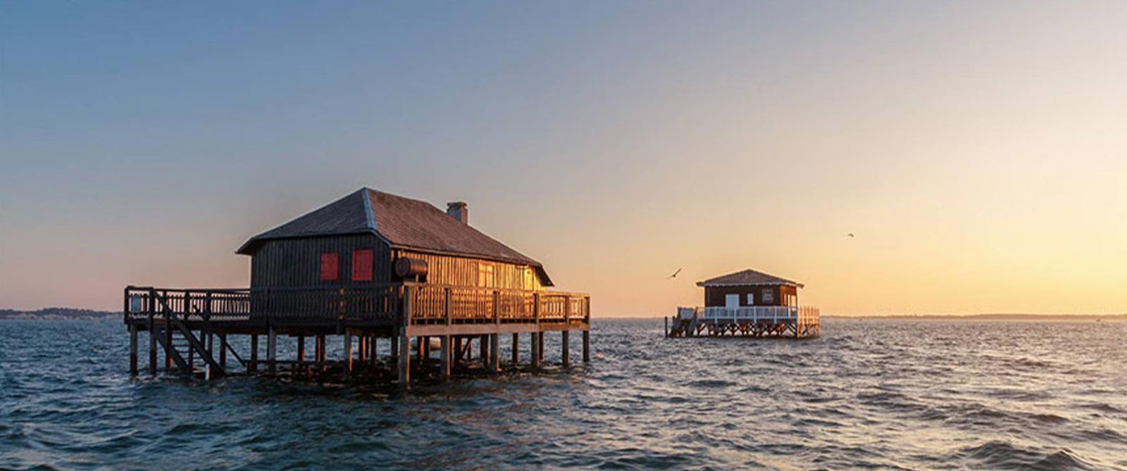  Le Nez dans le Verre