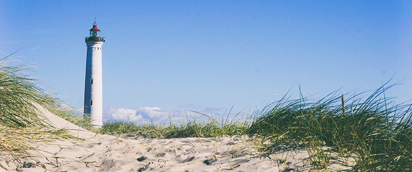  Le Nez dans le Verre